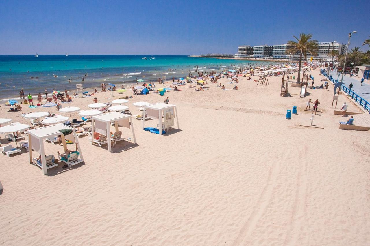 Large Apartment With Large And Sunny Terrace - Garden & Outdoor Gym , Alicante Center Exteriér fotografie